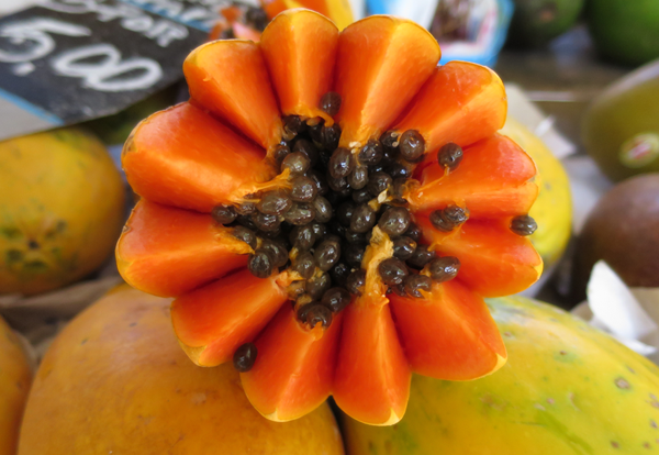 Papaya