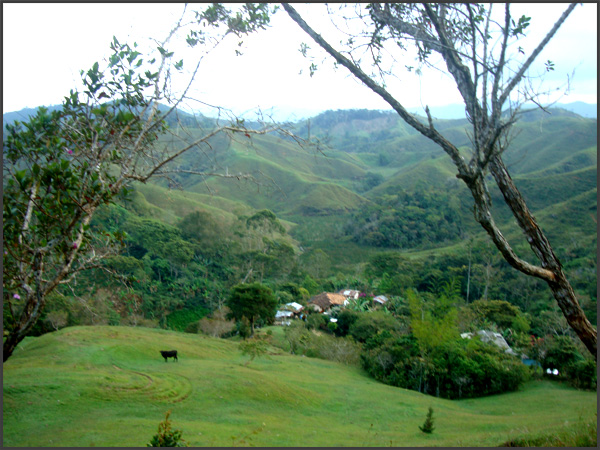 Family Finca outside Cisneros, Antioquia, Colombia