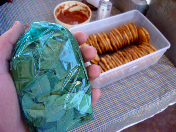 Coca Leaves from Tilcara, Argentina