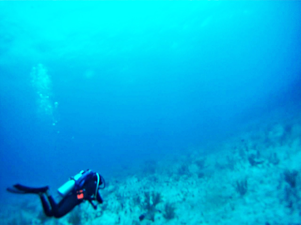 Scuba Diving along the coral in the ocean along the Yucatan Peninsula of Mexico