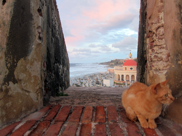 Guarding the walls of Old San Juan Puerto Rico