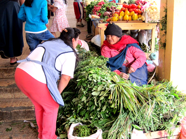 Otavalo Market in Otavalo Ecuador - Greens