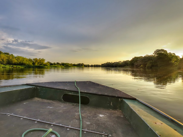 Pantanal Brazil - Pantanal Brasil