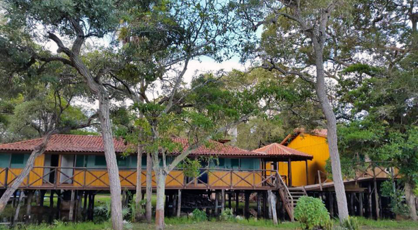 Pantanal Jungle Lodge