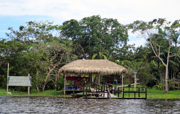 Amazon Rainforest Jungle Hotel