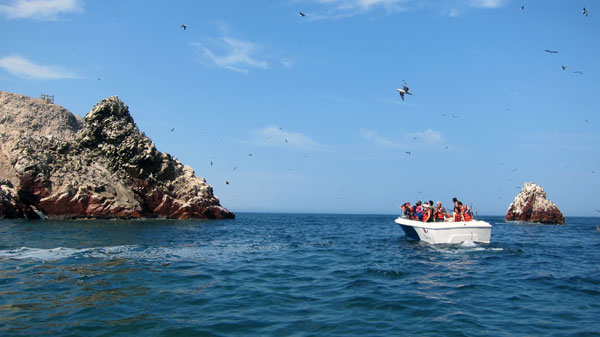 Tour the Ballestas Islands in Paracas Peru