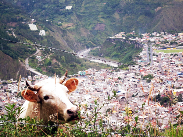 Hiking Banos Ecuador