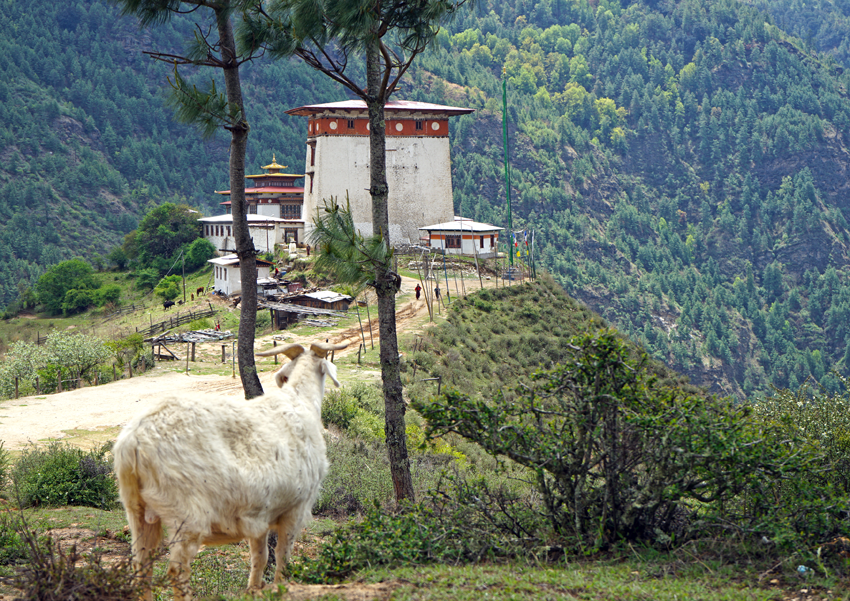 Bhutan Tours - Buddhist Monastery