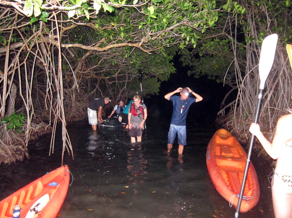 Bioluminescent Bay of Vieques Island, Puerto Rico