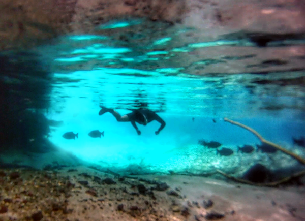 Rio da Prata Snorkeling in Bonito Brazil