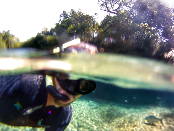 Rio da Prata Snorkeling in Bonito Brazil