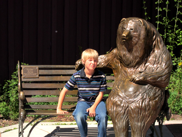 Bears in Park City Utah