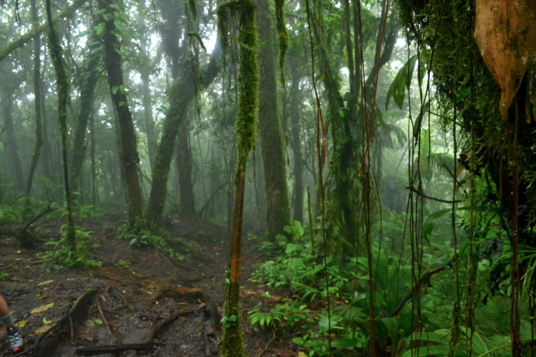 La Fortuna Costa Rica - Volcano in Costa Rica - Cerro Chato