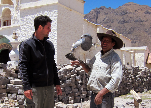 Colca Canyon Condors in Peru