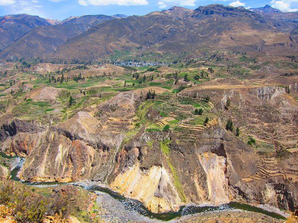 Colca Canyon View - Pre-Inca Terraces