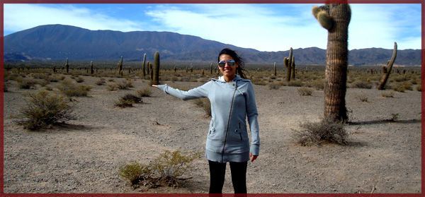 Cactus Weighing outside Cachi, Argentina