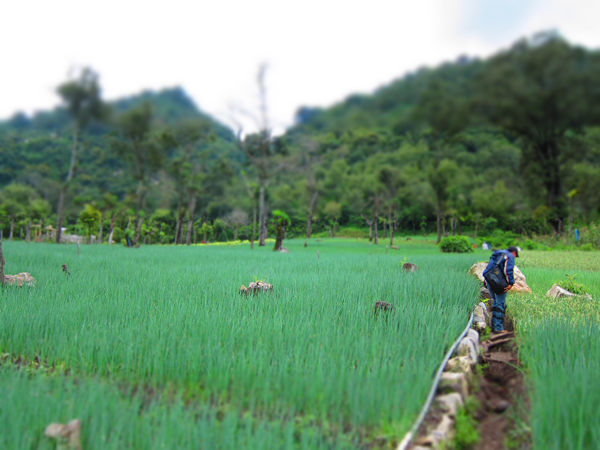 The Life of a Kiva Fellow in Guatemala