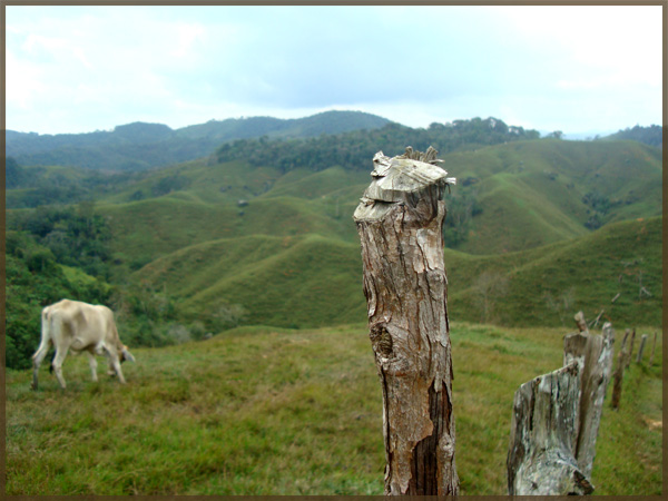 Finca in Cisneros, Antioquia outside Medellin, Colombia