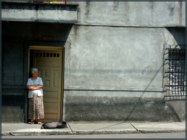 Foto Friday: Dogs Day Afternoon in Envigado, Colombia