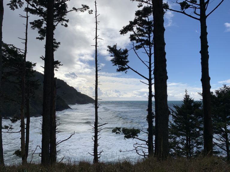 Heceta Head Lighthouse State Scenic Viewpoint