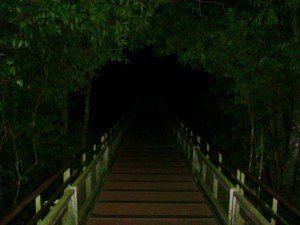 Full Moon Tour of Iguazu Falls, Argentina