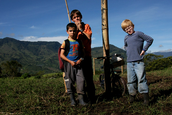 Colombian Movies - Los Colores de la Montaña