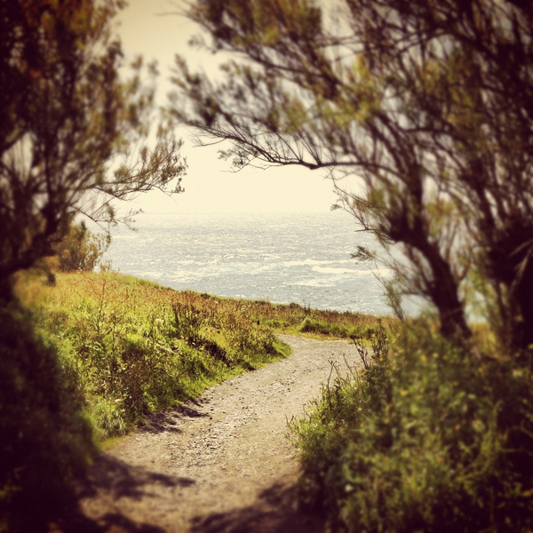 The Beautiful Coast of Cornwall, United Kingdom