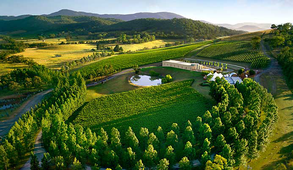 Melbourne Day Trips - Yarra Valley Wine Region