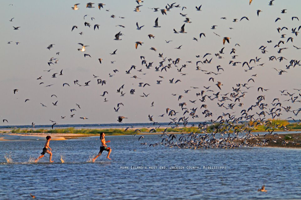 Travelling to the Mississippi Gulf Coast