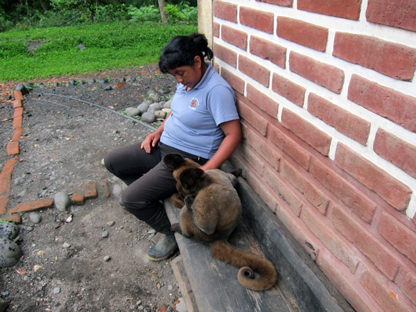 Paseo Los Monos - Monkey Rescue Center - Puyo, Ecuador