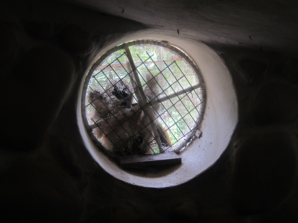 Paseo Los Monos - Monkey Rescue Center - Puyo, Ecuador