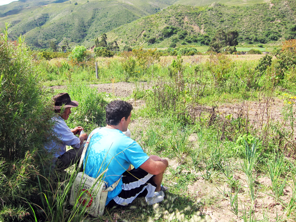 The fields of Morado K'asa outside Sucre, Bolivia