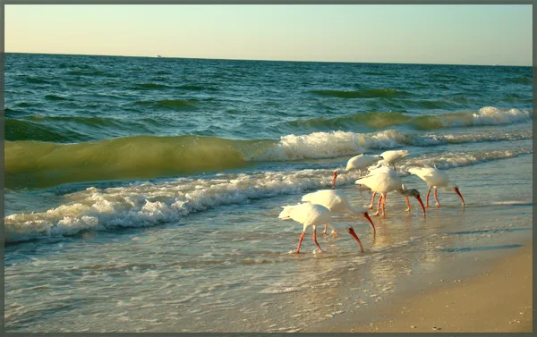 Relaxing in Naples, Florida Florida Vacation - Naples, Florida