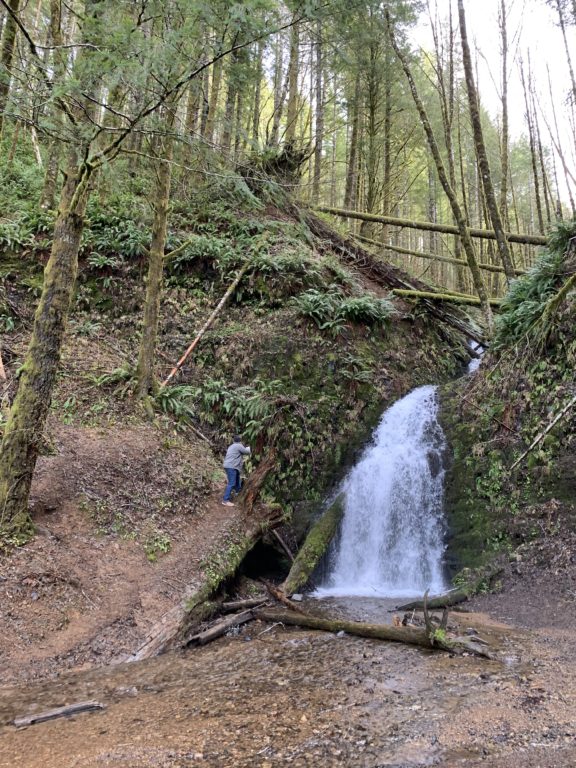 Fern Rock Falls Oregon