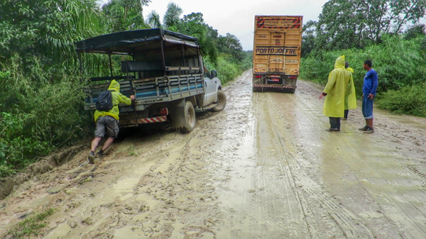 Pantanal Tour in the Pantanal Wetlands of Brazil