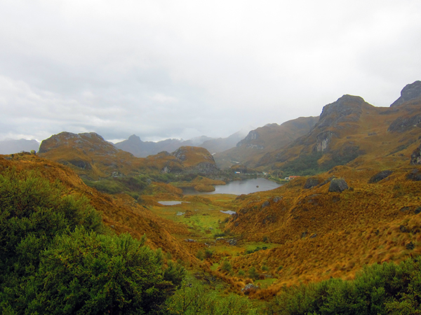 El Cajas National Park Azuay Ecuador