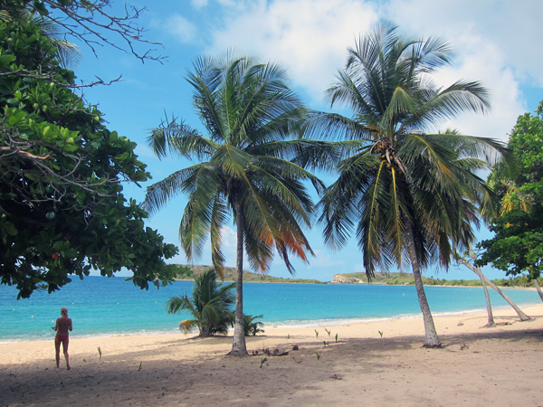 Sun Bay Vieques Island Puerto Rico