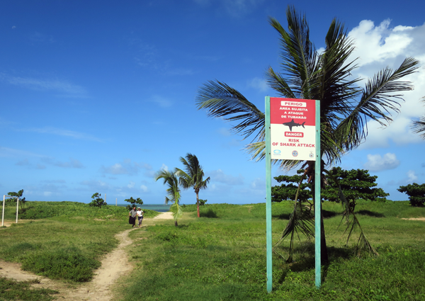 Recife Brazil - Shark Sign