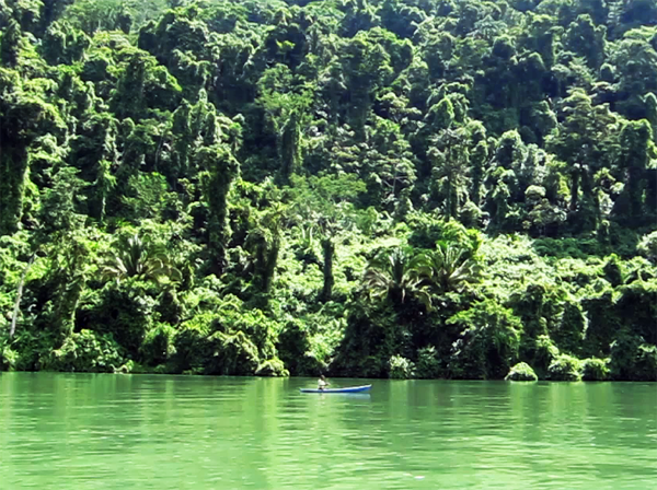 Rio Dulce Boat Tour - Rio Dulce Livingston Guatemala