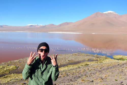 Pink Flamingos on Laguna Colorado at Salar de Uyuni Tour in Bolivia