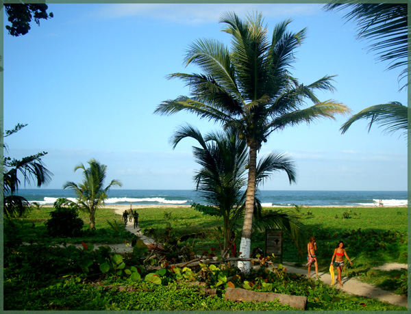 Arrecifies Beach Trail in Tayrona National Park