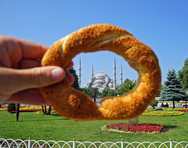 The Blue Mosque in Istanbul Turkey