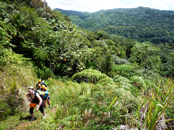 Hiking up El Toro Negro Rainforest in Puerto Rico