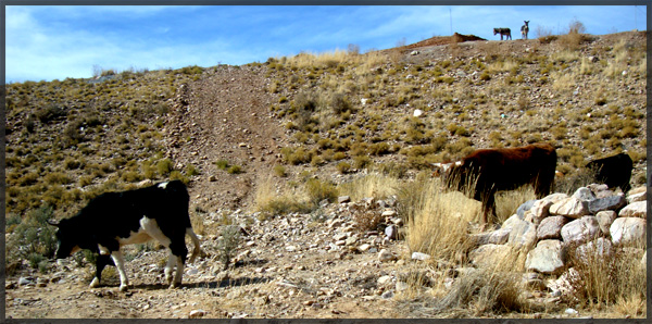 The Treck to Iruya, Argentina