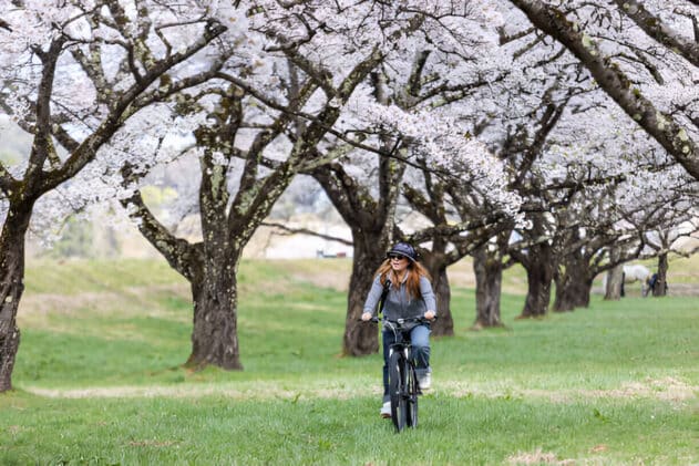 Things To Do In Japan
