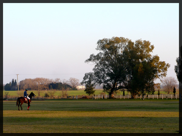 Polo Elite in Buenos Aires, Argentina