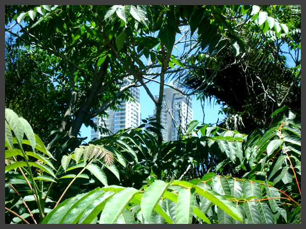 Costanera Sur Ecological Reserve - Buenos Aires, Argentina