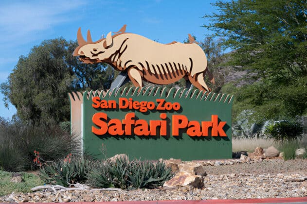 Best Family-Friendly Activities In San Diego