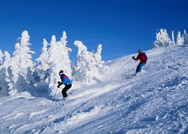 Work and Travel while Skiing in Austria