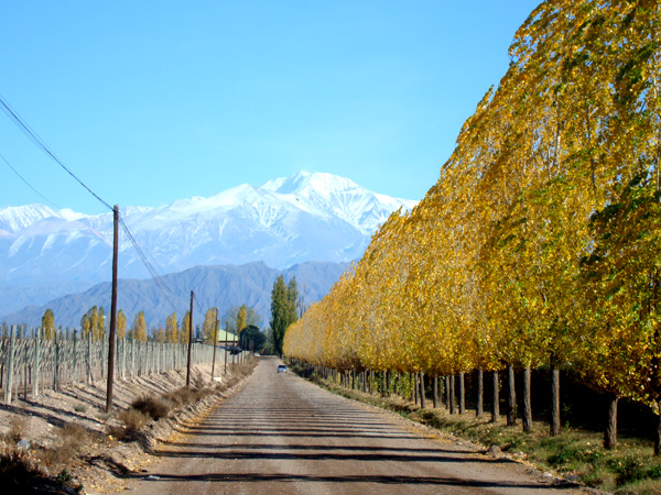 Wine Tour Mendoza Argentina